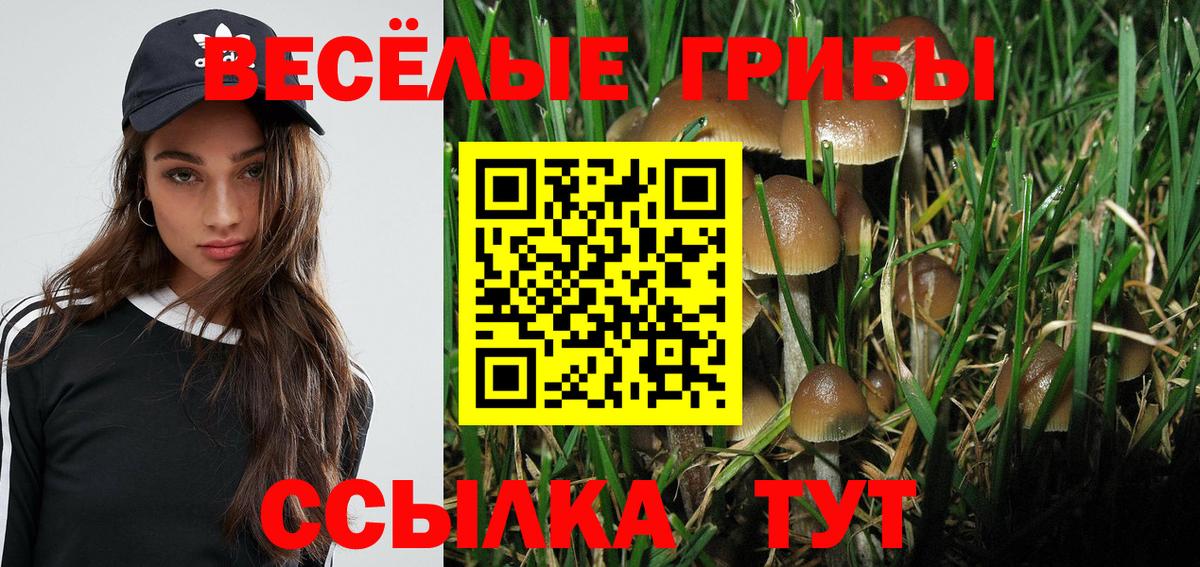 Галлюциногенные грибы ЛСД  Вход с VPN  Малоярославец  Псилоцибиновые грибы MAGIC MUSHROOMS 